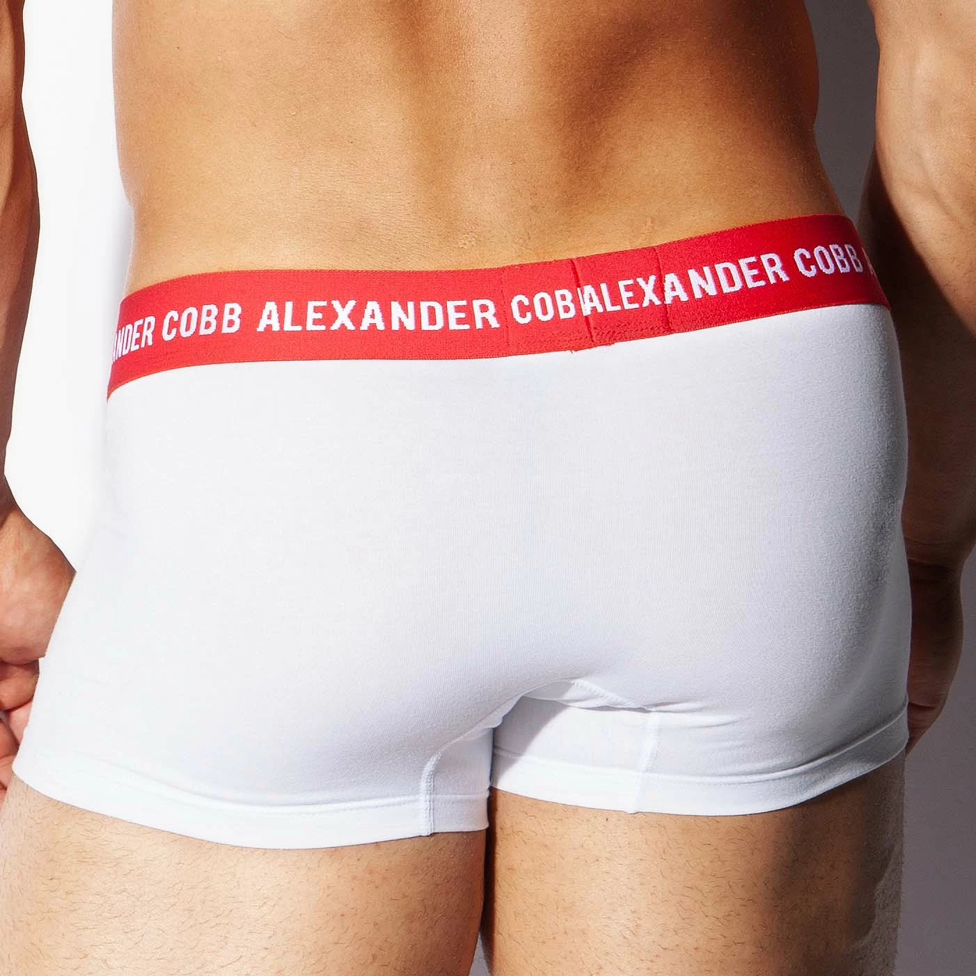 Boxer Turkana Alexander COBB 8CBS23 4 Boxer Turkana Alexander COBB 8CBS23 – Image 2