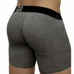Boxer Long ErgoWear FEEL Modal EW1031 -Offres HOM Boutique Boxer ergo EW1031 gris 3
