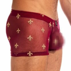 Boxer L Homme Invisible Charlemagne MY14CLM -Offres HOM Boutique Boxer hi MY14CLM rouge 4