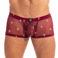 Boxer L Homme Invisible Charlemagne MY14CLM