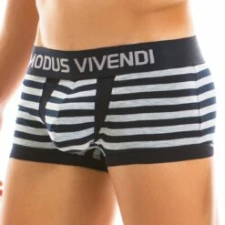 Boxer Modus Vivendi Stripped 11921 -Offres HOM Boutique Boxer modus 11921 gris 4