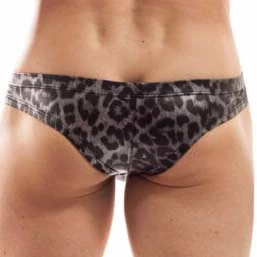 Tanga Wojoer Brauner Leo SP9T352 4 Tanga Wojoer Brauner Leo SP9T352 – Image 2