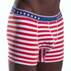 Boxer CockSox Liberty Stripe CX12 -Offres HOM Boutique boxer cocksox cx12 Liberty 4