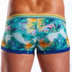 Boxer CockSox Florida Keys CX68N 8 Boxer CockSox Florida Keys CX68N -Offres HOM Boutique boxer cocksox cx68n jaune 3 1