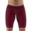 Boxer Long ErgoWear MAX XV EW1154 2 Boxer Long ErgoWear MAX XV EW1154 -Offres HOM Boutique boxer ergo ew1154 bordeau m