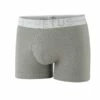 Boxer Impetus 1258021 1 Boxer Impetus 1258021 -Offres HOM Boutique boxer impetus 1258021 gris
