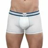 Shorty BLUEBUCK WFNS -Offres HOM Boutique shorty bluebuck TRWFNS blanc m