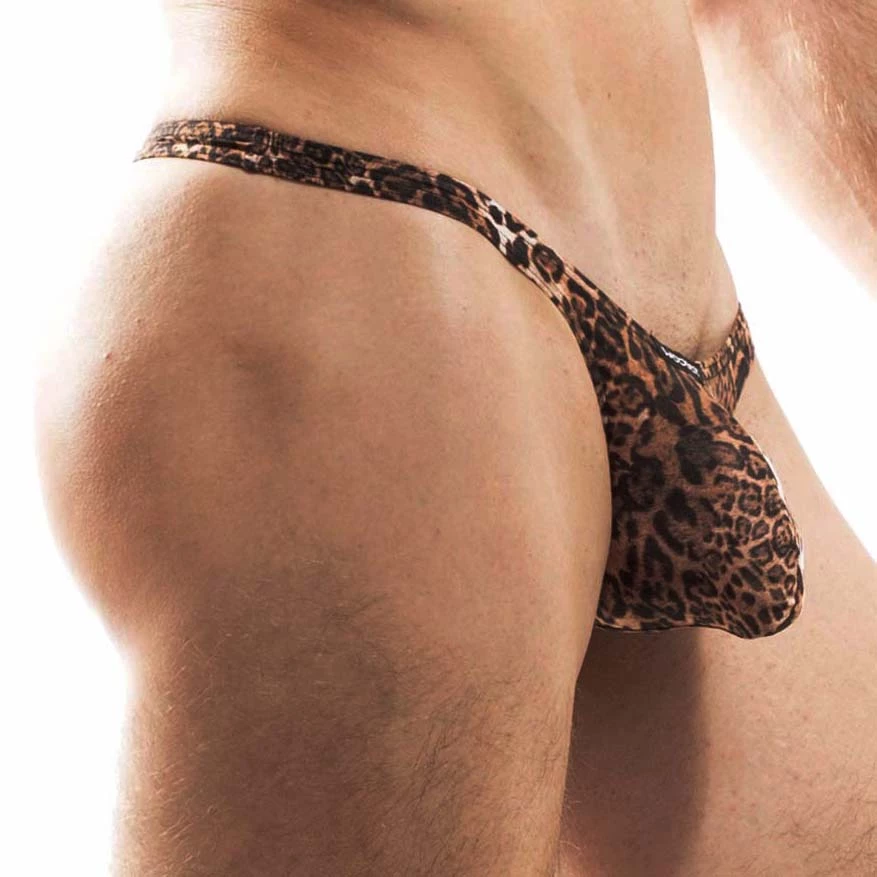 Tanga Wojoer Brauner Leo SP3B14 4 Tanga Wojoer Brauner Leo SP3B14 – Image 2