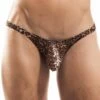 Tanga Wojoer Brauner Leo SP3B14 -Offres HOM Boutique tanga wojoer SP3B14 marron m